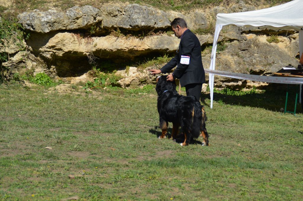 du Domaine du Chai de Majolan - 1 exc RCACS Classe intermédiaire langons