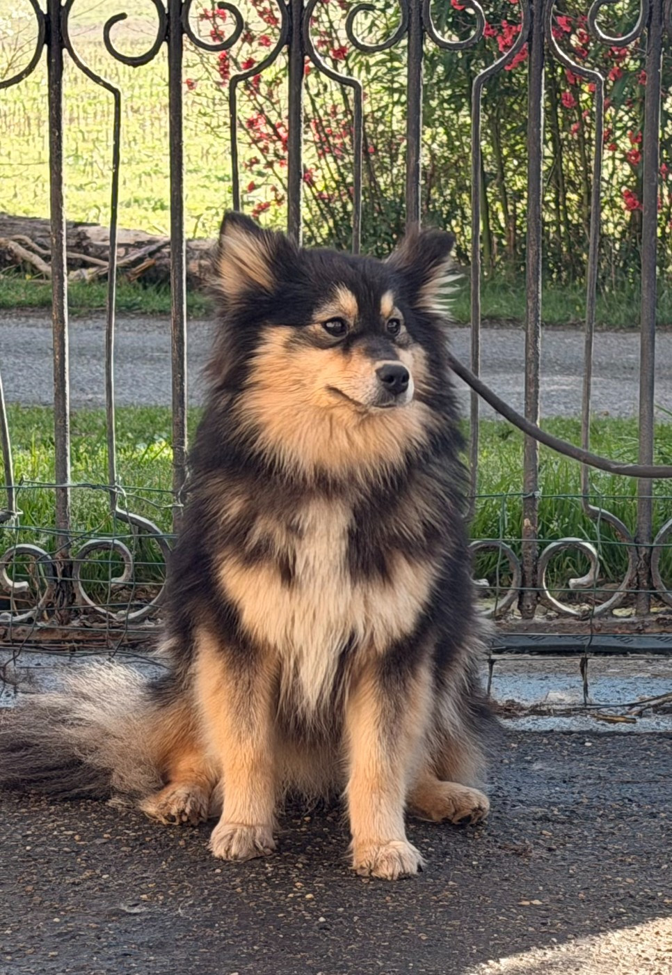 Alpha-alpine du Domaine du Chai de Majolan