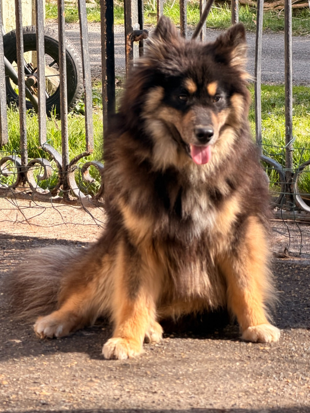 Viconte-versaille du Domaine du Chai de Majolan