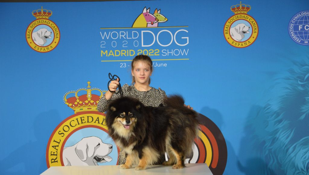 WORLD DOG SHOW SPECIAL CAC 